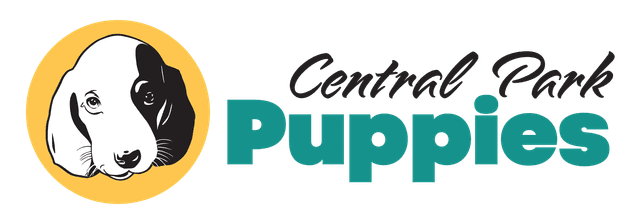 Central Park Puppies